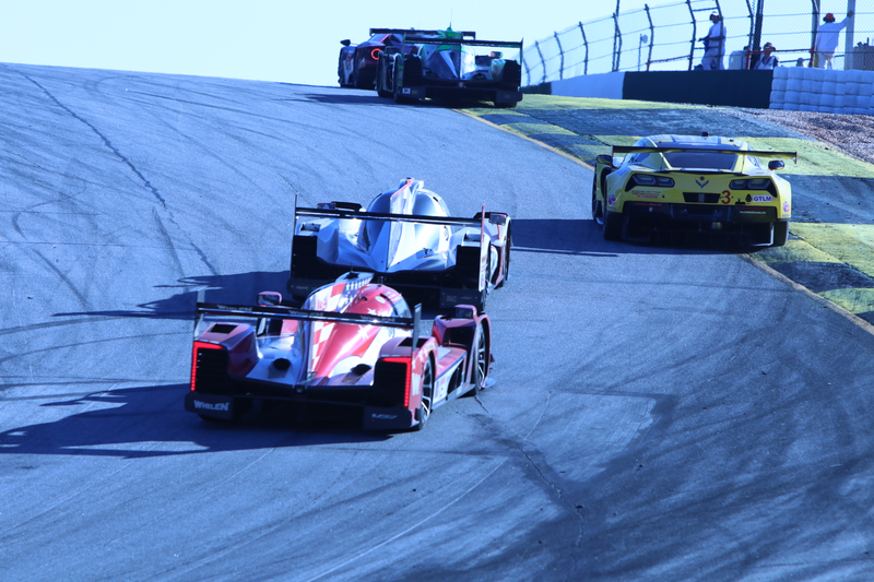 Illustration for article titled Full PLM Photodump